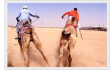 Camel Polo - Desert Festival